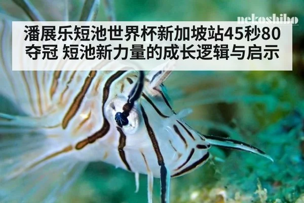 潘展乐短池世界杯新加坡站45秒80夺冠 短池新力量的成长逻辑与启示